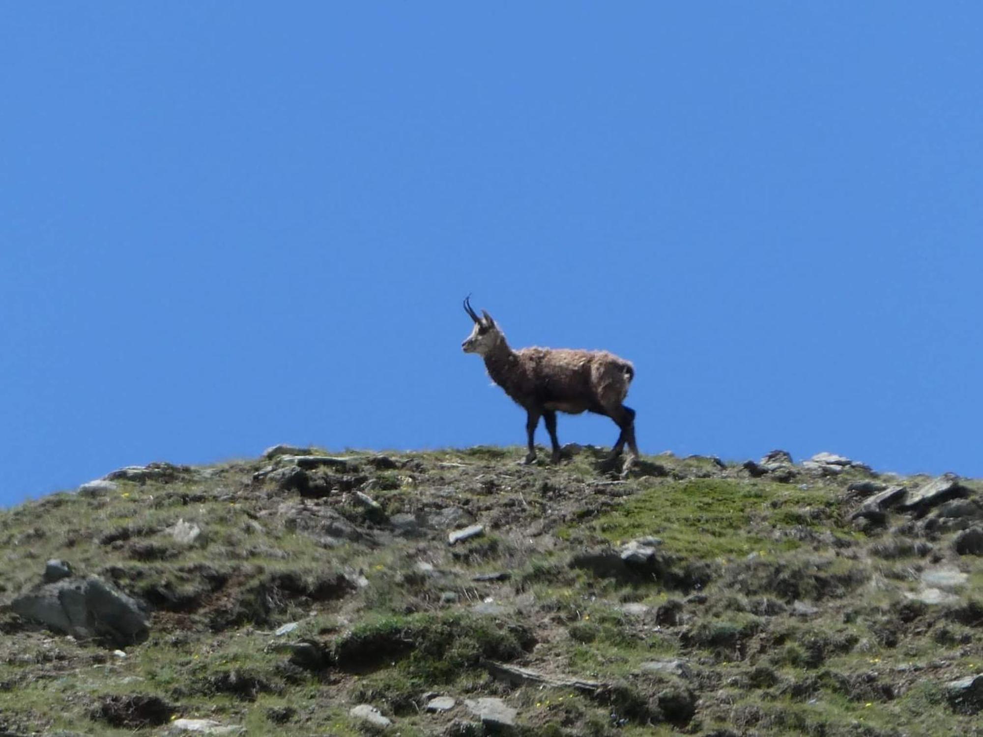Aosta Maisongnemaz Экстерьер фото